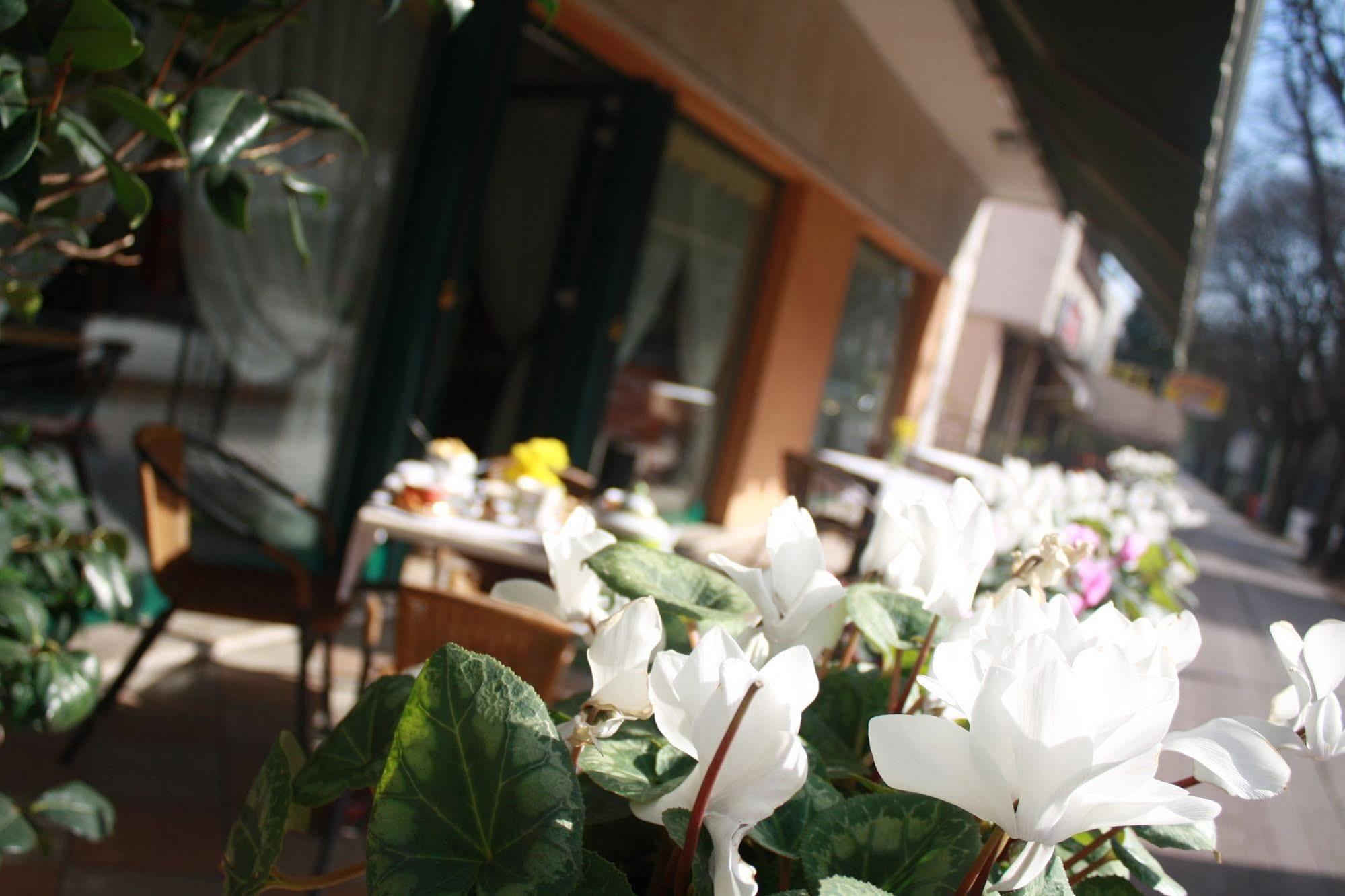 Hotel Damodoro Pordenone Zewnętrze zdjęcie